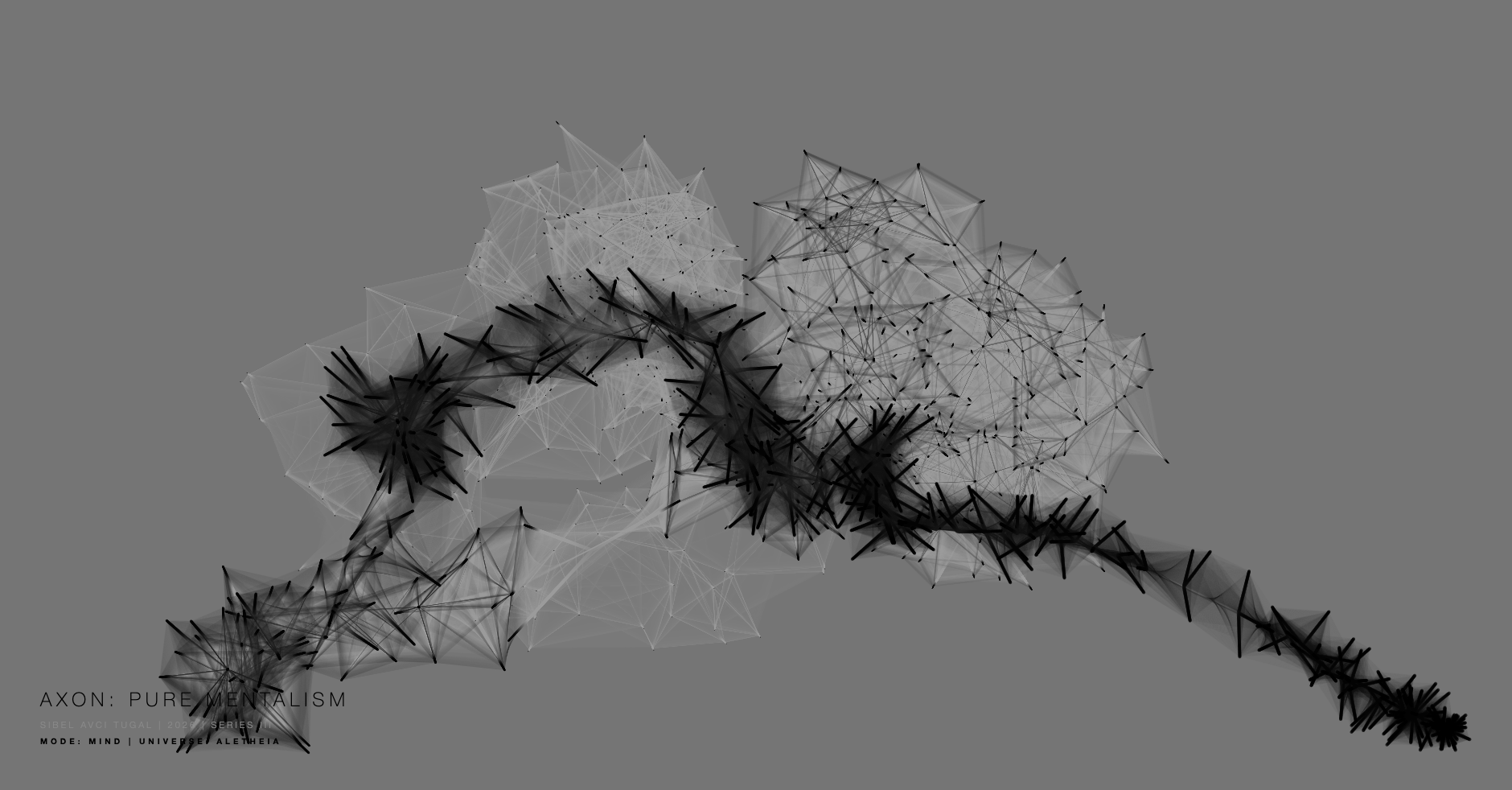 Digital Networks and the New Language of Art